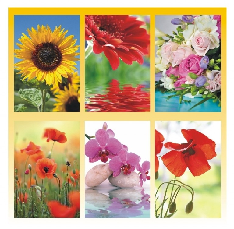 BIGBANG Grußkarten Set - 92 Kleine Karten Mit Aufklebern Für Fans & Sammler